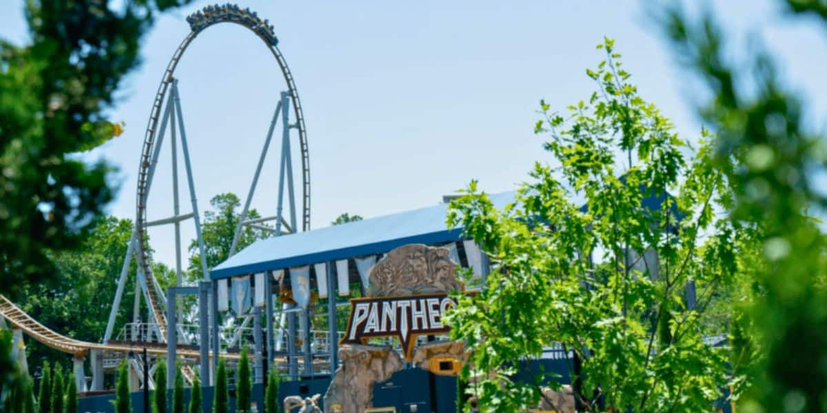 A thrilling roller coaster named Pantheon is visible through some green foliage at Busch Gardens. The ride features a large, vertical loop and tracks that twist and turn. A covered platform for boarding is seen in the foreground with the Pantheon sign prominently displayed.