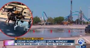 News graphic showing a closed Cedar Point amusement park with a headline reading "Cedar Point closed until Monday - Water main break forces park to shut down." An inset image shows goats in a pen. Red cones mark off wet pavement in the parking lot. Immediate statement pending on this emergency situation.