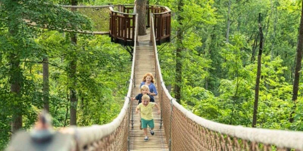 Three children are walking on a wooden suspension bridge surrounded by lush green trees in a theme park. The bridge is elevated and leads to a platform around a large tree. The children, dressed casually, appear joyful as they explore their adventure amidst nature's beauty.
