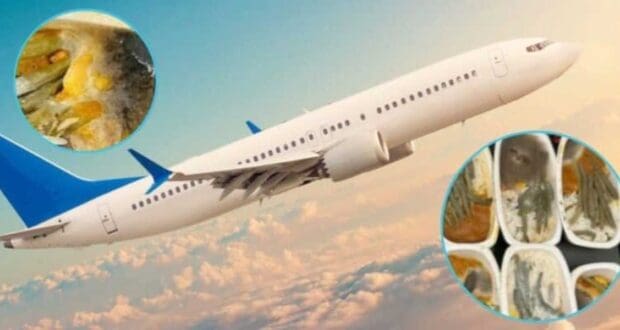 Image of a passenger airplane flying against a backdrop of a cloudy sky. The photo includes two circular insets: one showing close-up of moldy food and the other displaying multiple containers of similarly deteriorated or spoiled food items.
