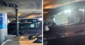 Two images of a parked car in a parking garage at Disney Parks. The first image shows several cars and a column with a sign indicating "57C." The second image shows the front seat of a car with a sign taped to the window that reads, "Don't worry, the dog made it out in 2022.