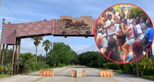 An entrance gate to Busch Gardens with a sign overhead and barricades on the road. Inset on the right shows a crowd of people, some dressed in costumes, appearing to gather or protest energetically.