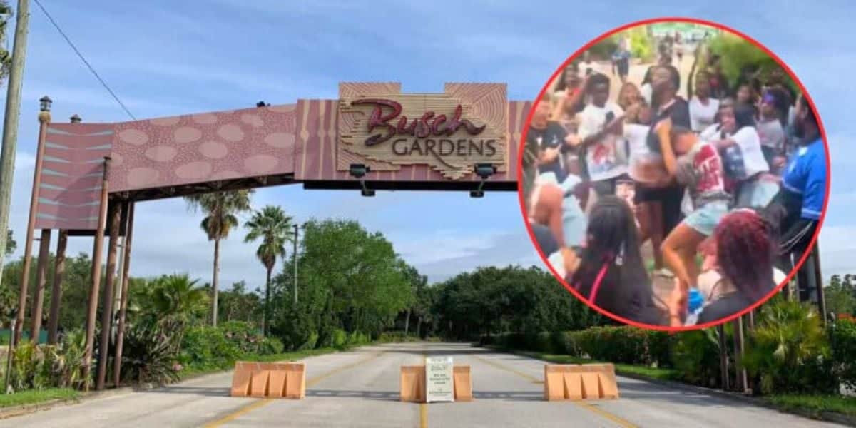 An entrance gate to Busch Gardens with a sign overhead and barricades on the road. Inset on the right shows a crowd of people, some dressed in costumes, appearing to gather or protest energetically.