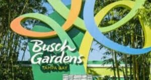 The entrance sign for Busch Gardens Tampa Bay, a popular Florida theme park surrounded by greenery. The logo features the words "Busch Gardens" in white cursive lettering and "Tampa Bay" in yellow underneath, all set against vibrant green and multi-colored looping structures.