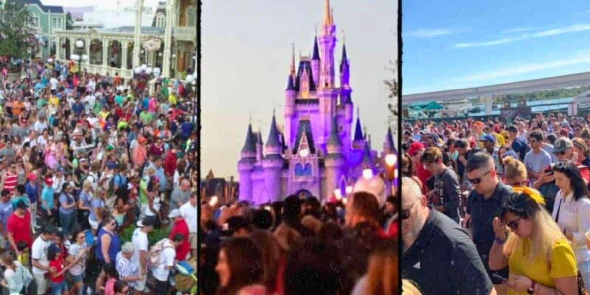 Three photos showing crowds at Walt Disney World Resort and other theme parks on bright, sunny summer days.