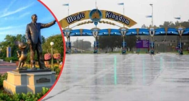 A split image shows a statue of a man holding hands with a mouse character outside Magic Kingdom on the left, and a view of the entrance gate of Magic Kingdom, Disney World, with the text "Magic Kingdom" overhead, on the right. The ground appears wet from rain.