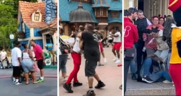 Different fights that have broken out at Disney theme parks