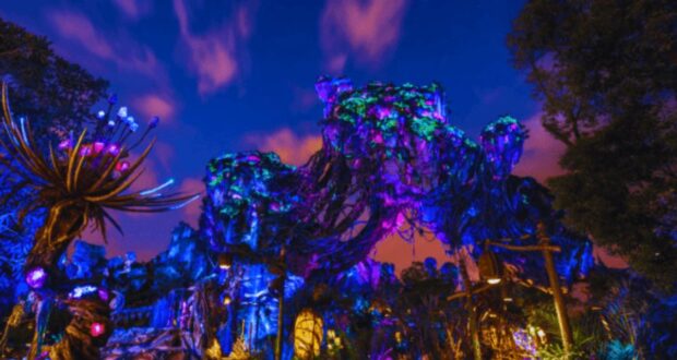 pandora at night