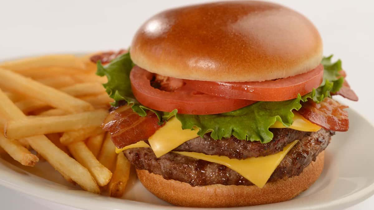 A Double Cheeseburger from Cosmic Rays Starlight Cafe in the Magic Kingdom
