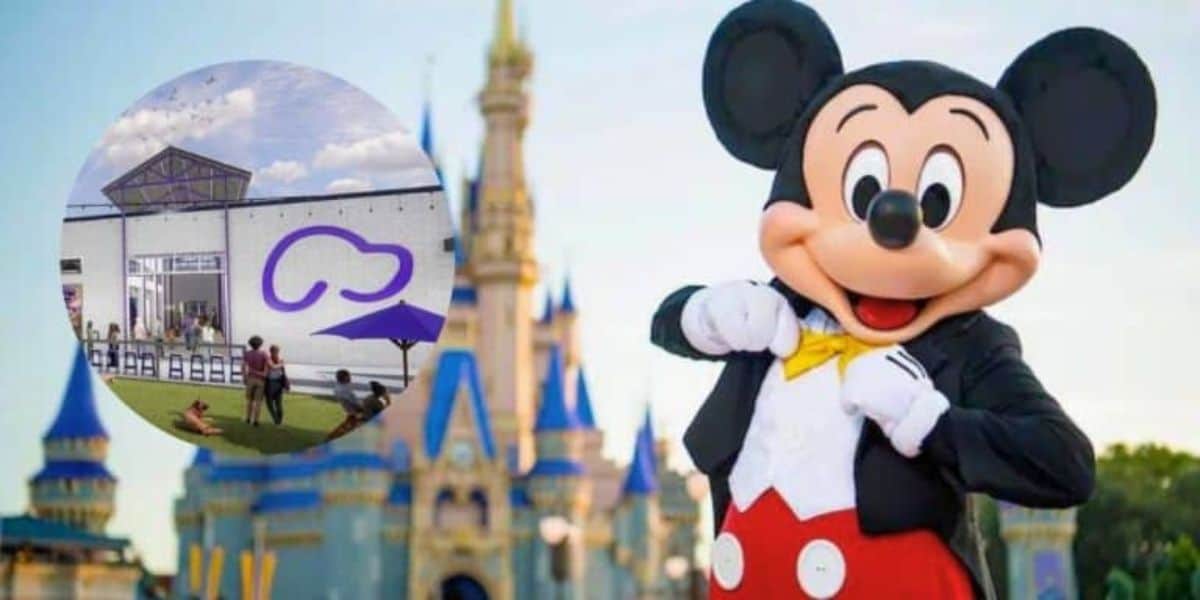 A person in a Mickey Mouse costume poses in front of a castle. Inset: A small building with a purple logo and people sitting on a grassy area nearby.