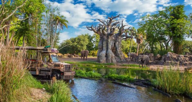 kilimanjaro safaris elephants