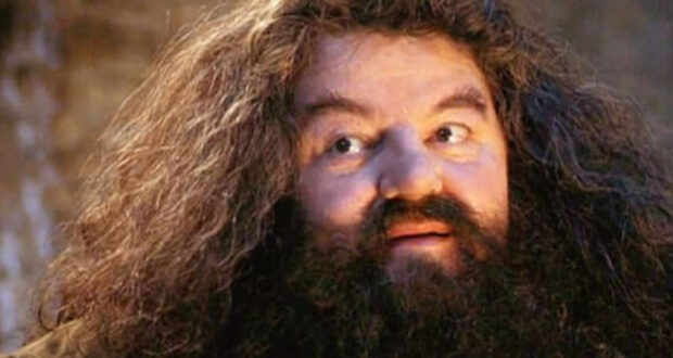 Robbie Coltrane as Hagrid