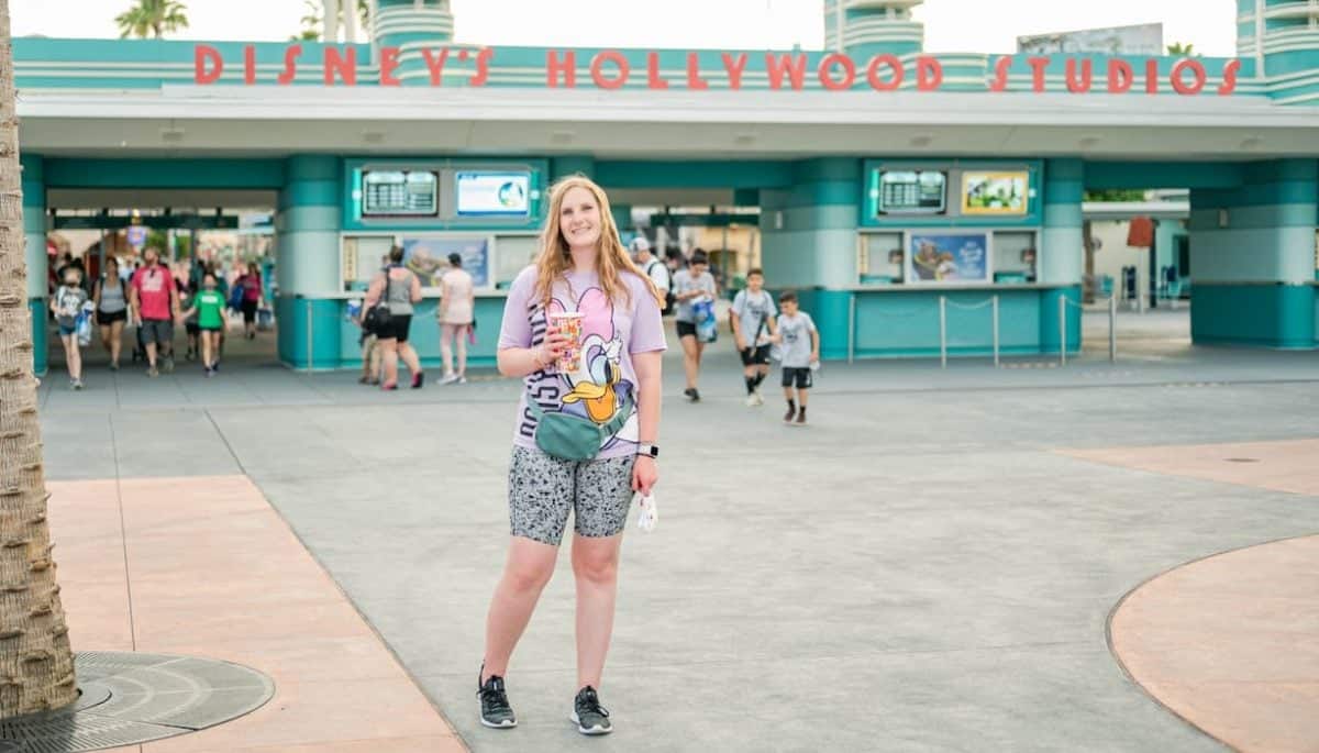 Disney park Entry