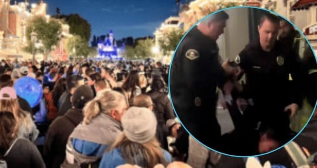 In the background, crowds wait for the fireworks at Disneyland Park; In a circle frame on the right side of the screen, police officers restrain a woman at Disney California Adventure Park