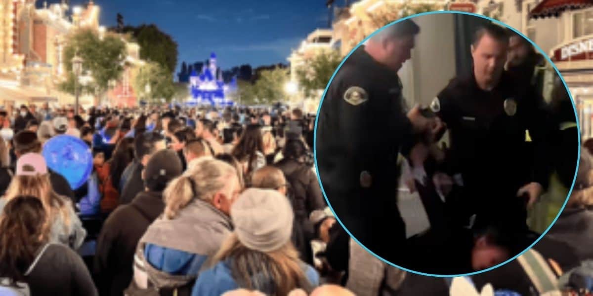 In the background, crowds wait for the fireworks at Disneyland Park; In a circle frame on the right side of the screen, police officers restrain a woman at Disney California Adventure Park