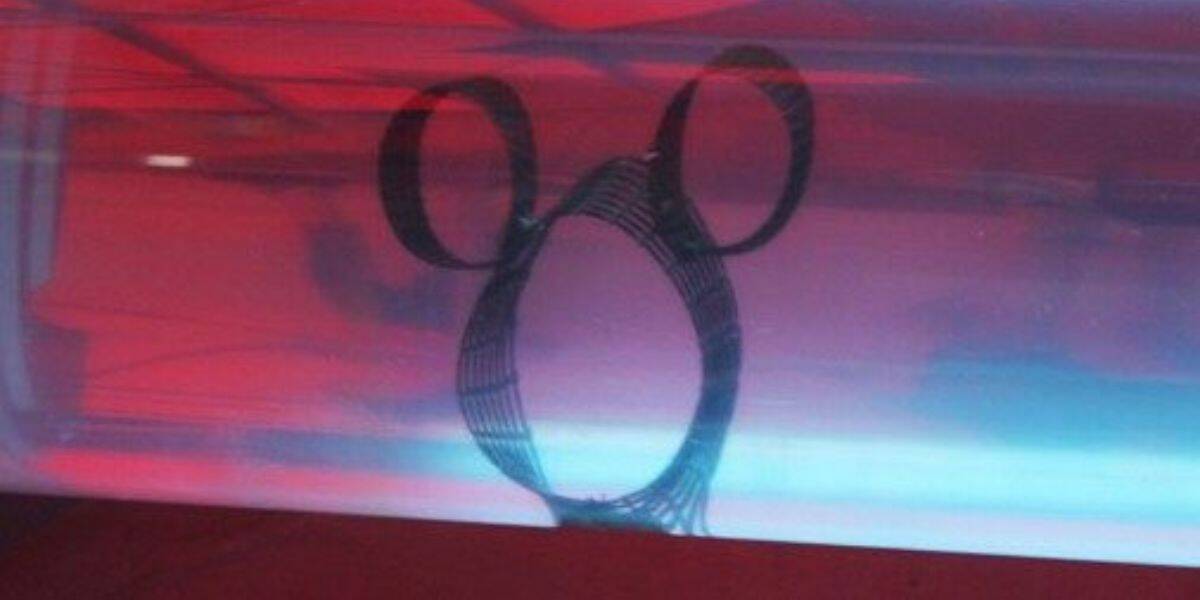 A classic Hidden Mickey silhouette glows under red and blue lights, capturing Disney World’s secret-spotting tradition.