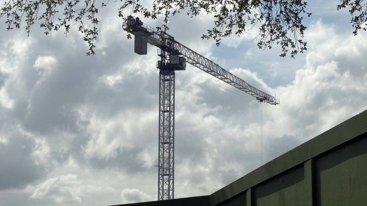 A crane towers over Animal Kingdom, framed by trees and a fence, signaling Encanto magic coming soon to the park.