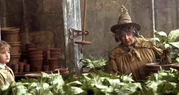 Emma Watson, in character as Hermione, explores lush greenhouse plants at the Warner Bros. Studio Tour, clay pots lining the scene.
