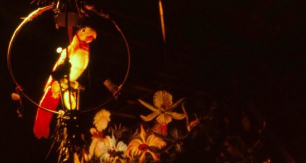 A parrot animatronic in Walt Disney's Enchanted Tiki Room