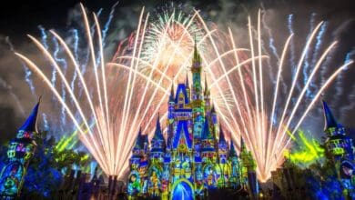 Fireworks light up the sky over Cinderella Castle at Magic Kingdom.