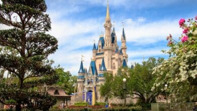 Cinderella Castle at Magic Kingdom under a weather warning during park closures.