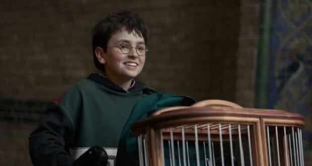 Harry Potter next to a birdcage at The Wizarding World of Harry Potter, in a scene reminiscent of the upcoming Harry Potter reboot.