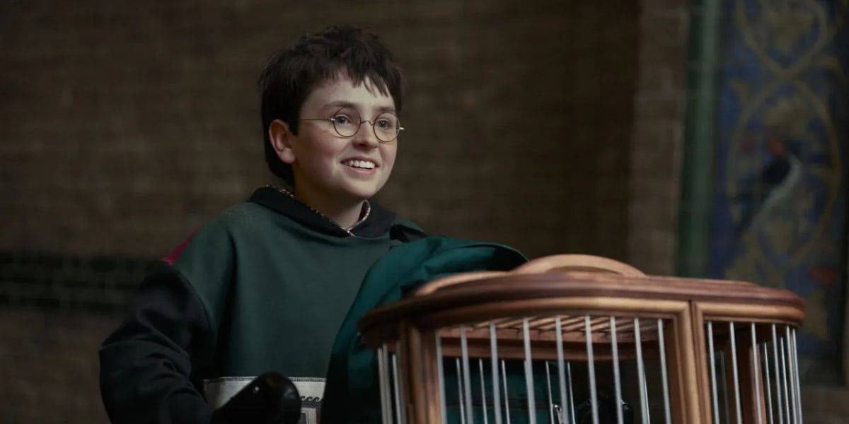 Harry Potter next to a birdcage at The Wizarding World of Harry Potter, in a scene reminiscent of the upcoming Harry Potter reboot.