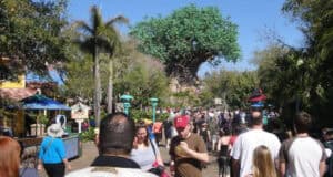 Guests walk toward the Tree of Life at Disney’s Animal Kingdom.