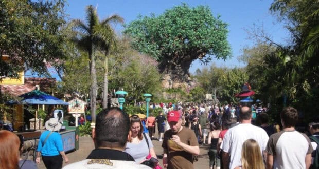 Guests walk toward the Tree of Life at Disney’s Animal Kingdom.