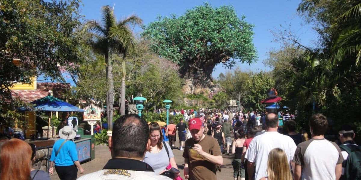 Guests walk toward the Tree of Life at Disney’s Animal Kingdom.