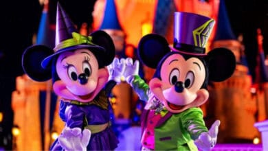 Mickey and Minnie Mouse in Halloween costumes at Disney World.