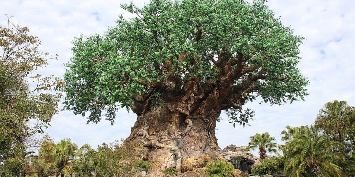 The Tree of Life at Disney’s Animal Kingdom.