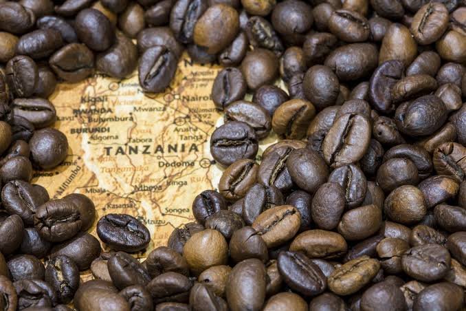 Coffee Export Tanzania