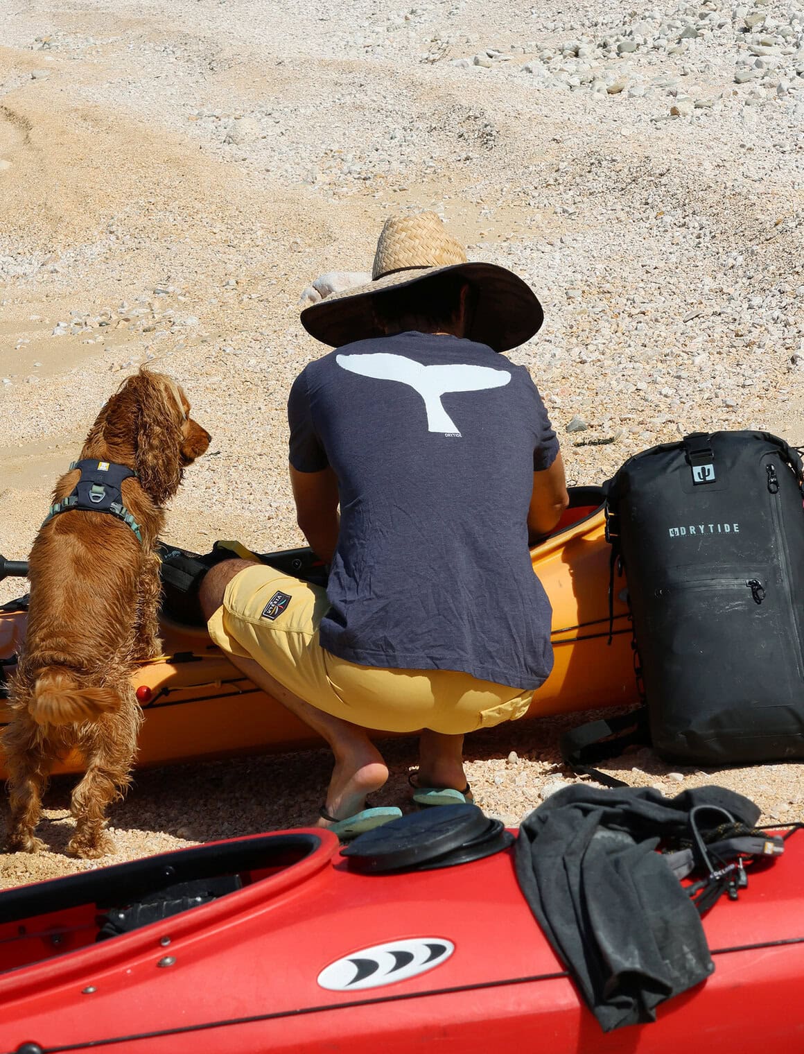 Waterproof backpack and gear with a person and dog on a sandy beach, ready for water activities.