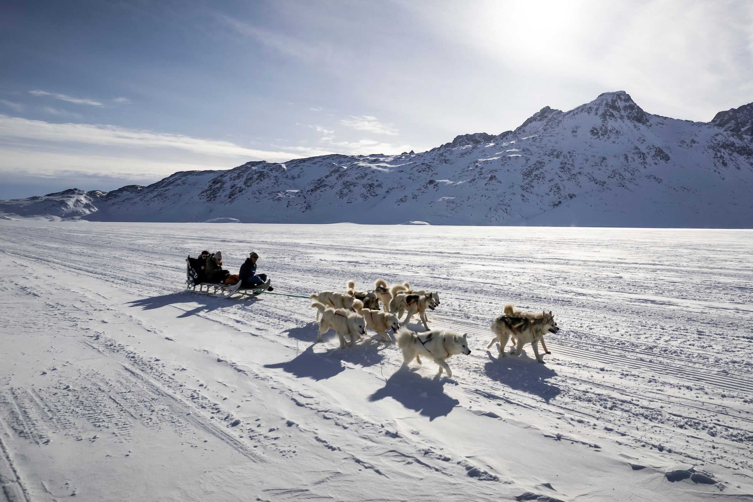 Dogsledding in the Tasiilaq's backyard.