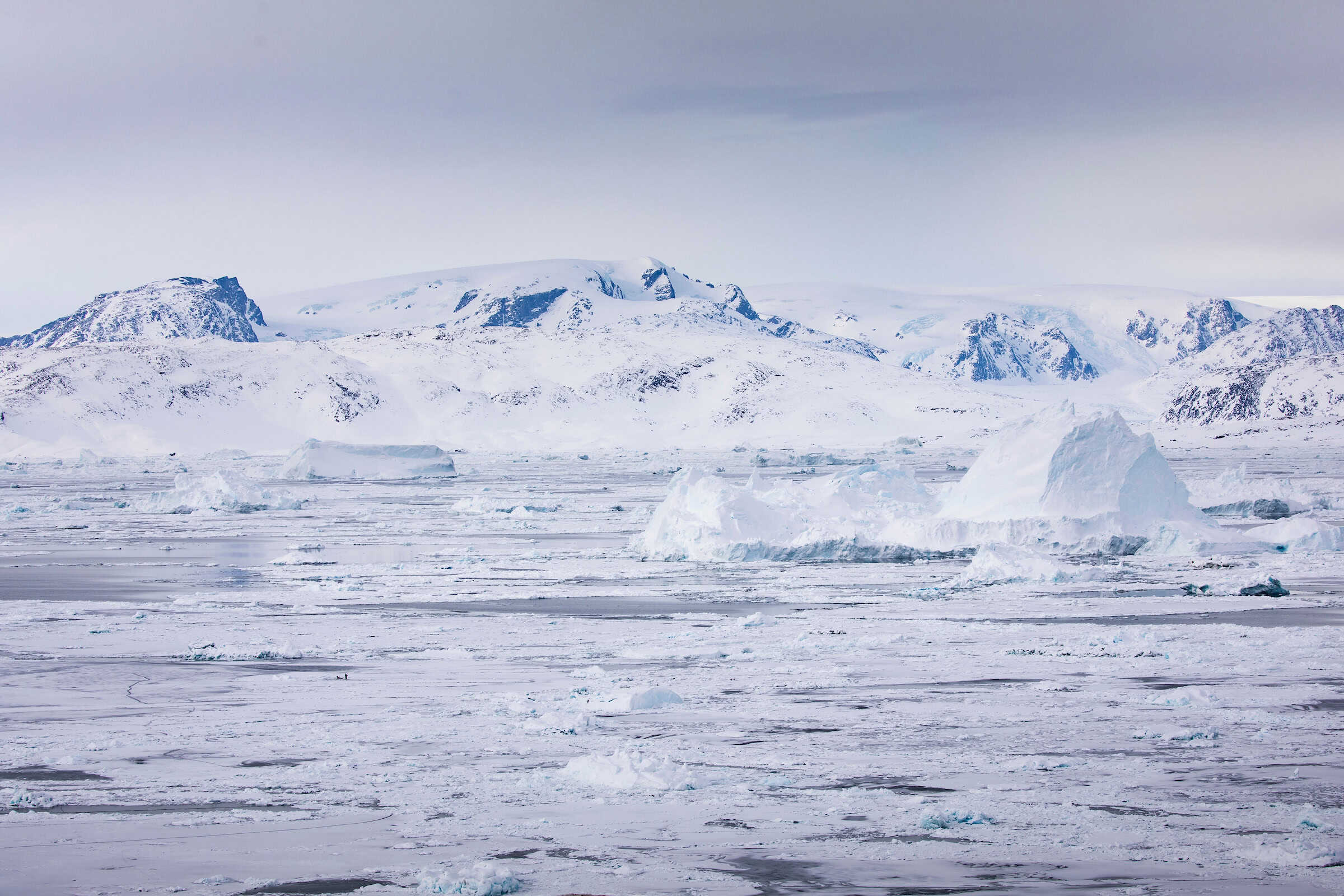 Sermilik fjord filled with sea ice. Where you can icefish.