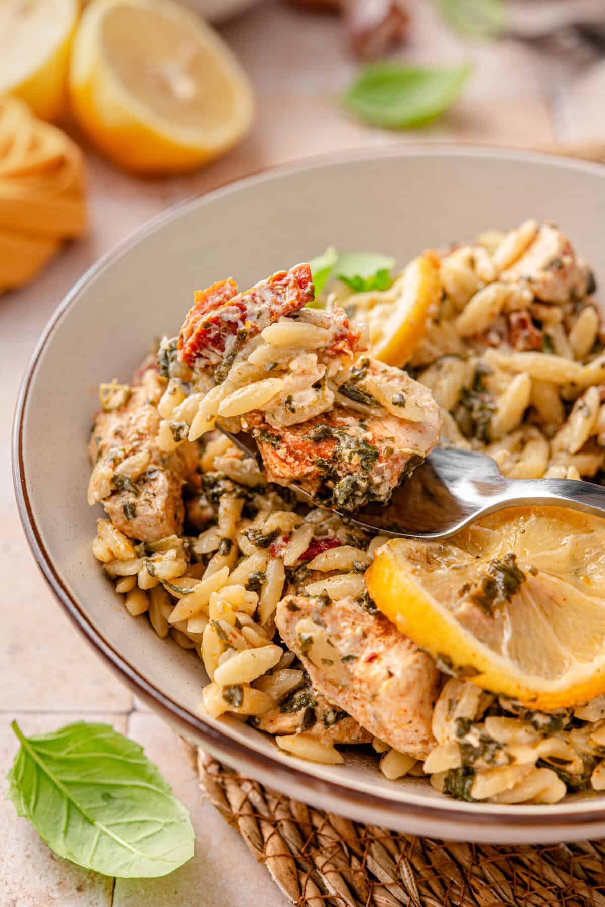 Close up shot of my chicken lemon orzo served.