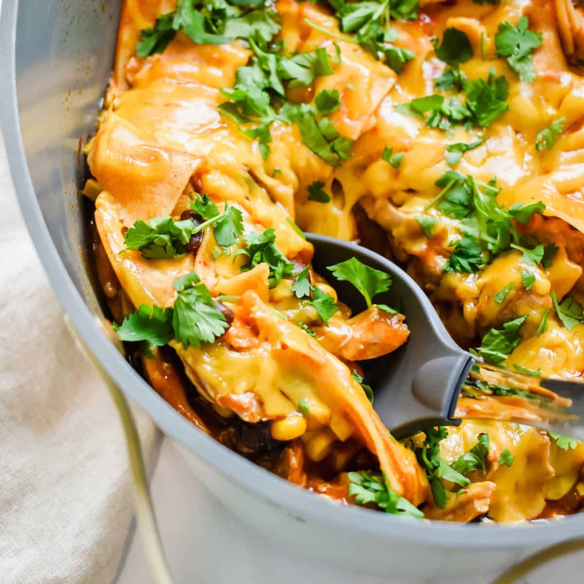 Slow cooker chicken enchiladas