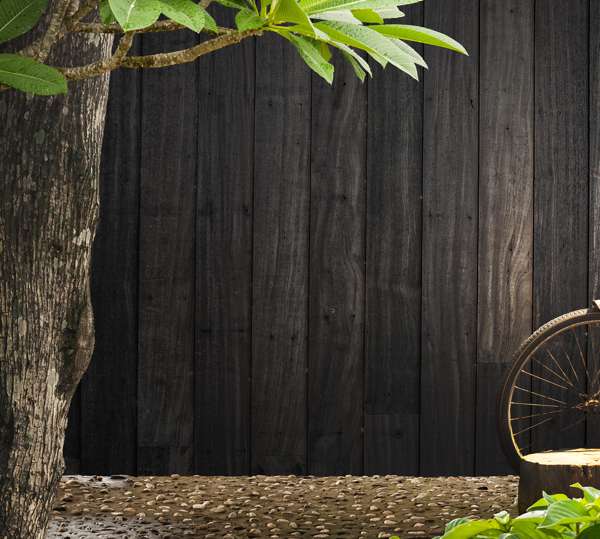Wooden garden fence with black stain and a tree in the foreground.