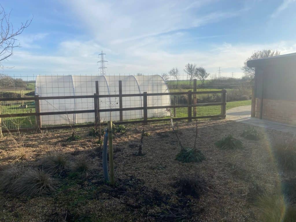 Garden fencing with greenhouse and plants in a rural setting.