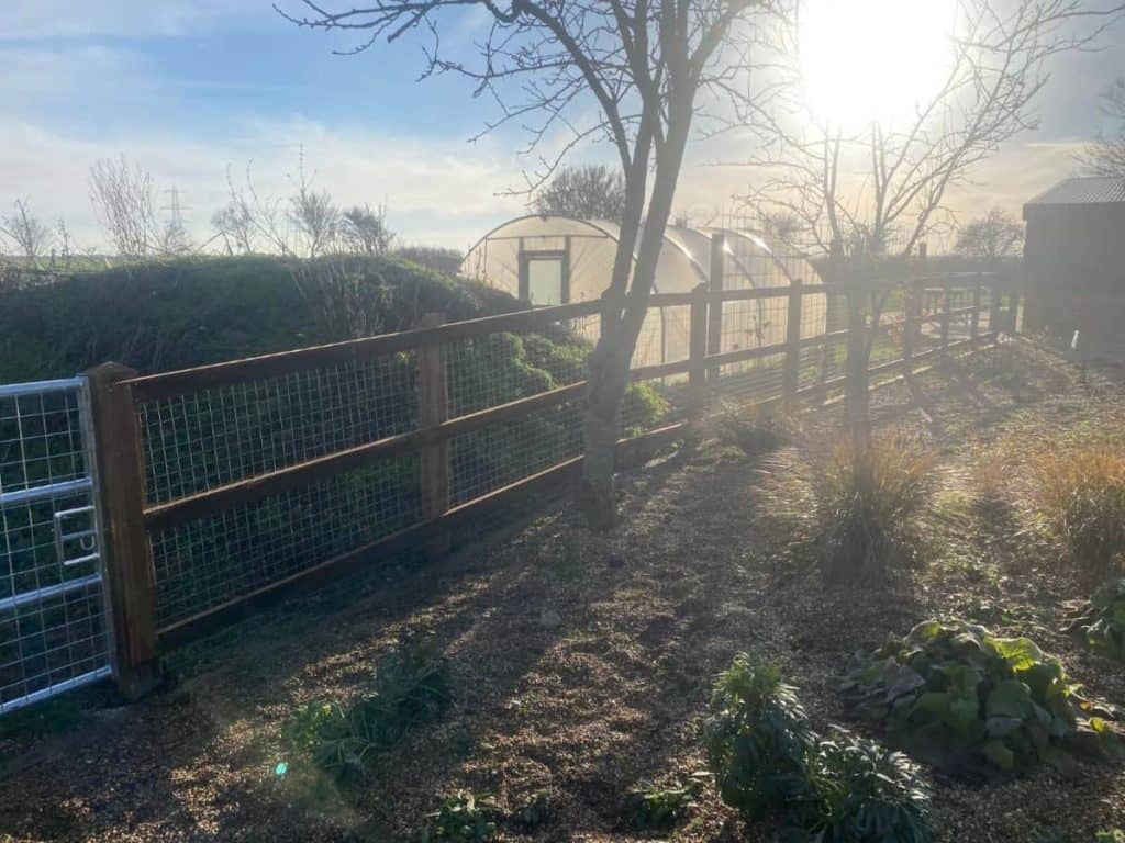 Wooden garden fence with wire panels and trees in sunlight.