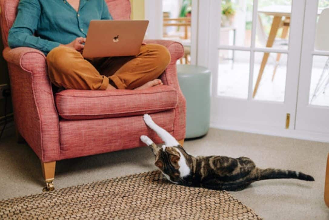 Photo of Emma sitting on a pink armchair with her laptop, her cat playing on the floor below.