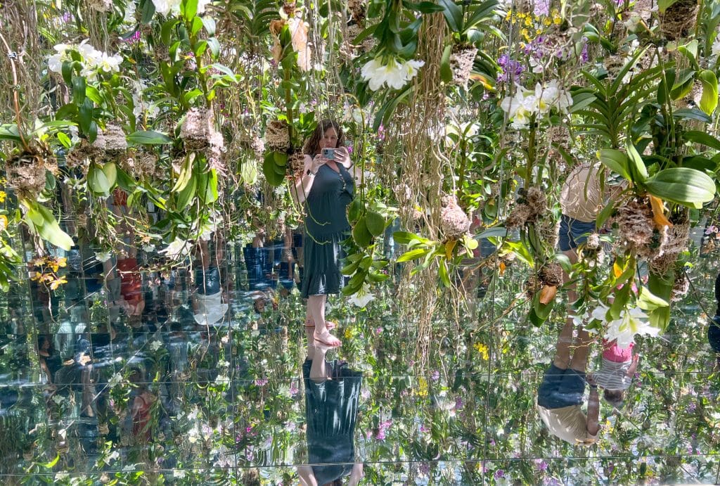 An individual exploring a vibrant, mirror-like floral art installation with hanging flowers and lush greenery, creating a surreal, immersive experience.