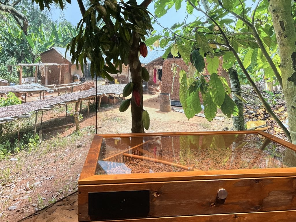 A wooden chocolate-making display table outdoors with lush green trees and farm structures in the background, showcasing a family-friendly chocolate experience.