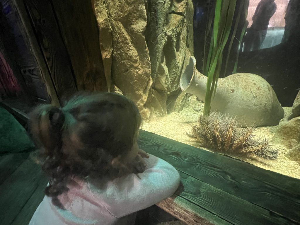 Is Sydney Aquarium worth visiting? Emma Jane Explores