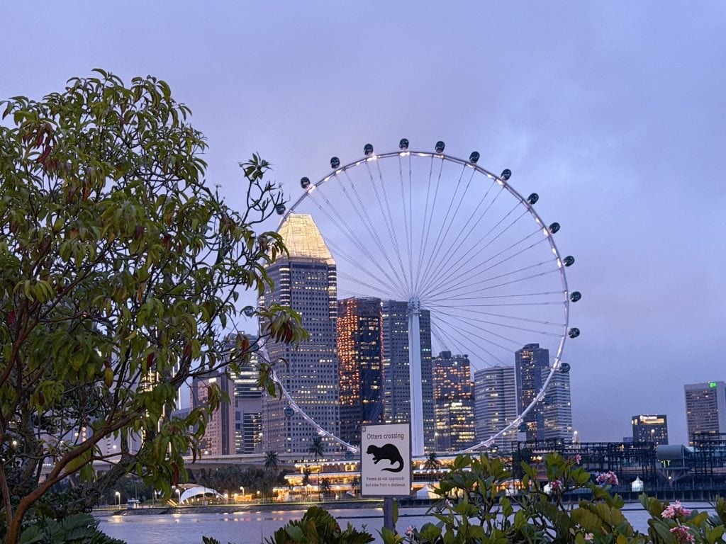 Singapore with kids - Singapore Flyer