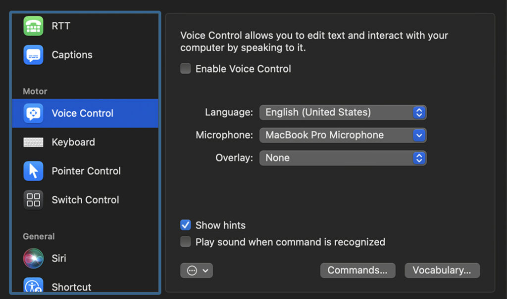Screenshot of the voice controls on the Mac