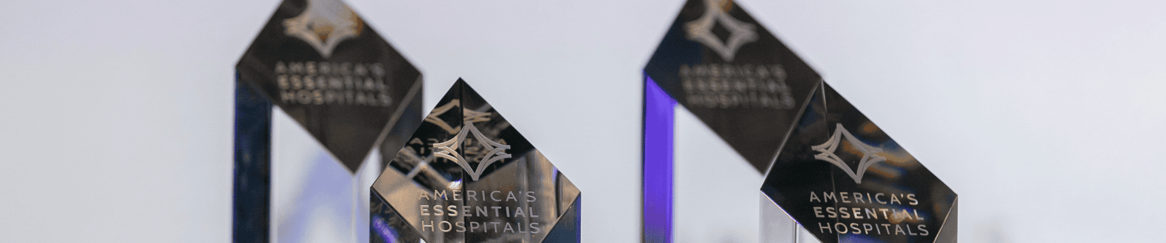 Gage award trophies