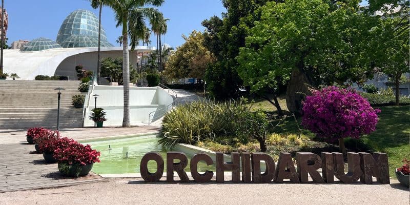What to do when it rains in Estepona