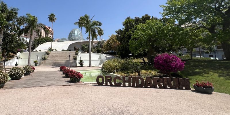 Best Things to Do In Estepona